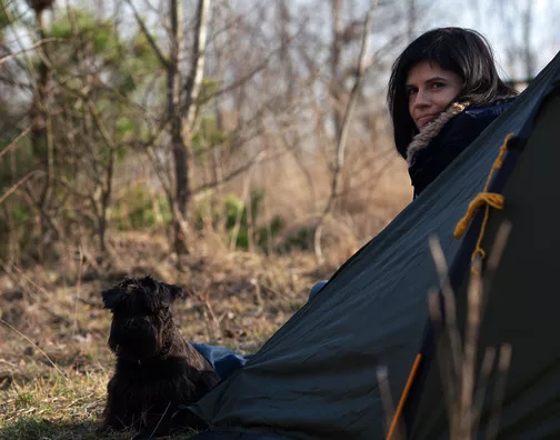 camping dog