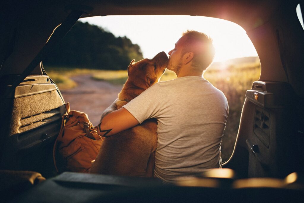 Camping with your dog