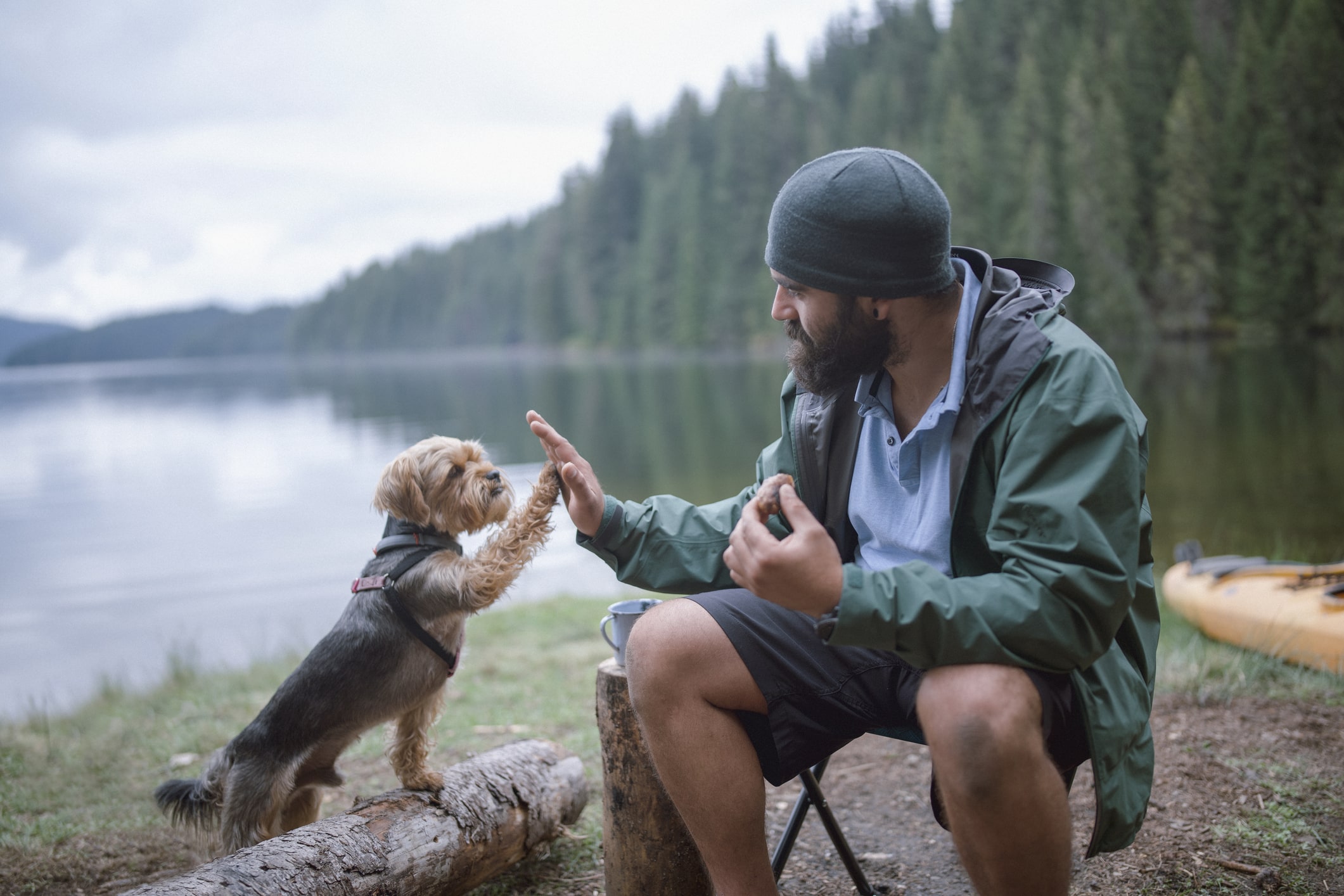 tips for Camping with your dogs
