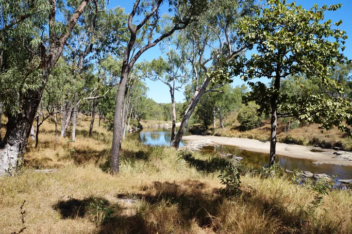 Bungal State Forest dry climate