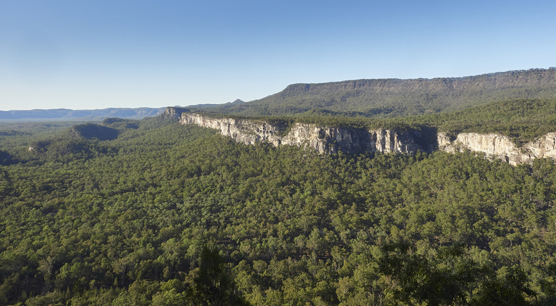 Sandstone Ridge line of Carnarvon Gorge. Lush native eucalypt trees and Blue sky.