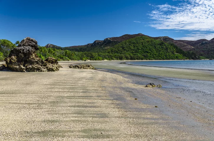 Beach in Cape Hillsborough National Park, Australia