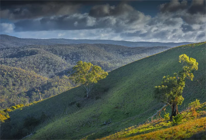 Cobaw Macedon Ranges