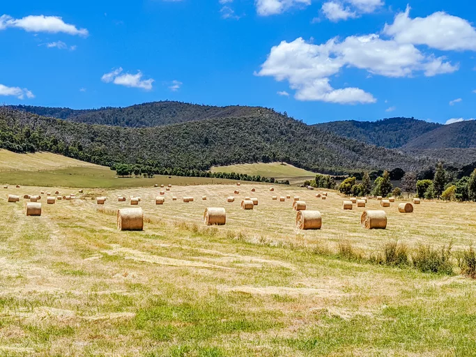 Kinglake in Victoria