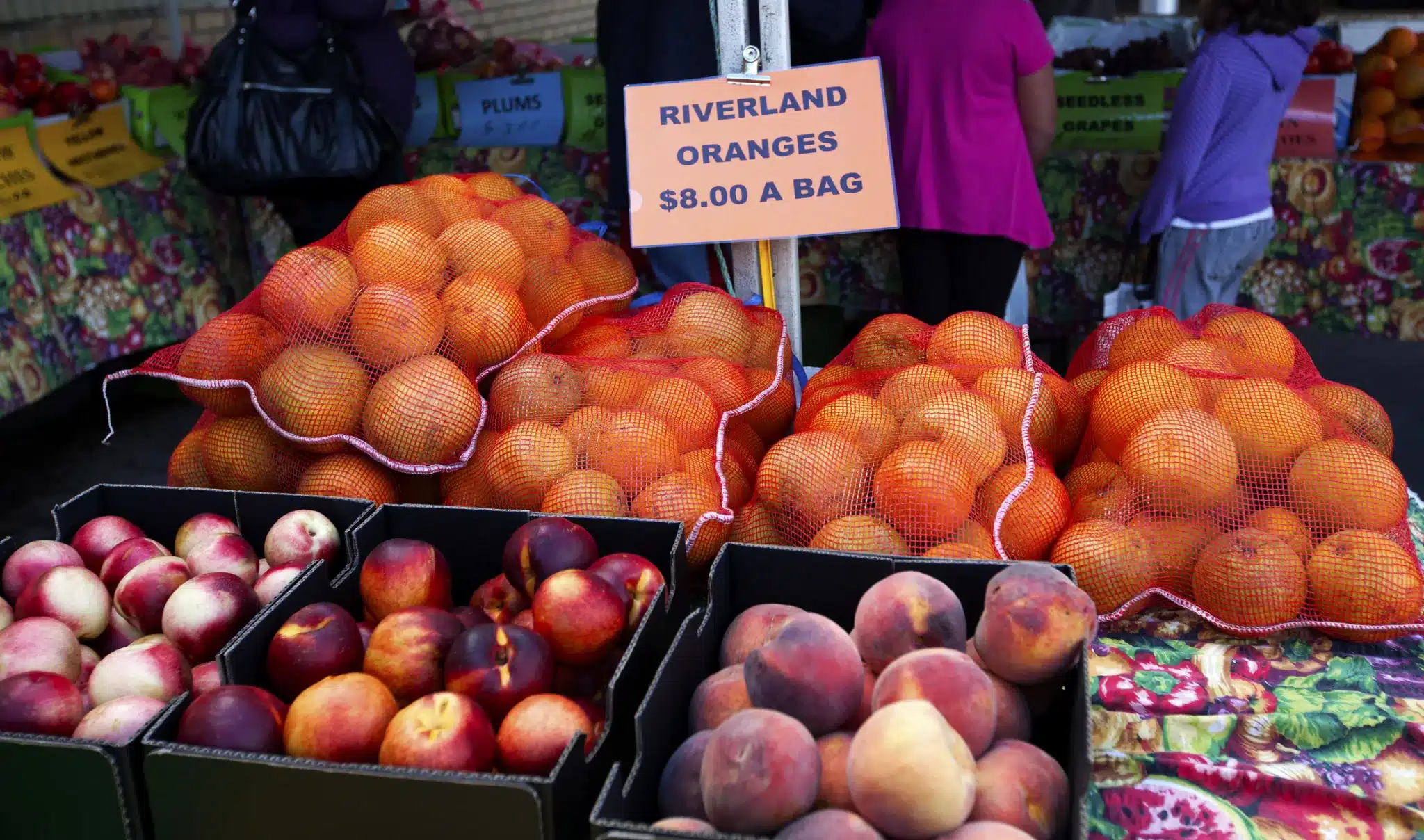 Fruit, oranges, peaches and nectarines at farmers market in Barossa Valley in South Australia.