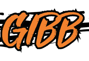 GIBB Rear Sticker (360mm x 1700mm)